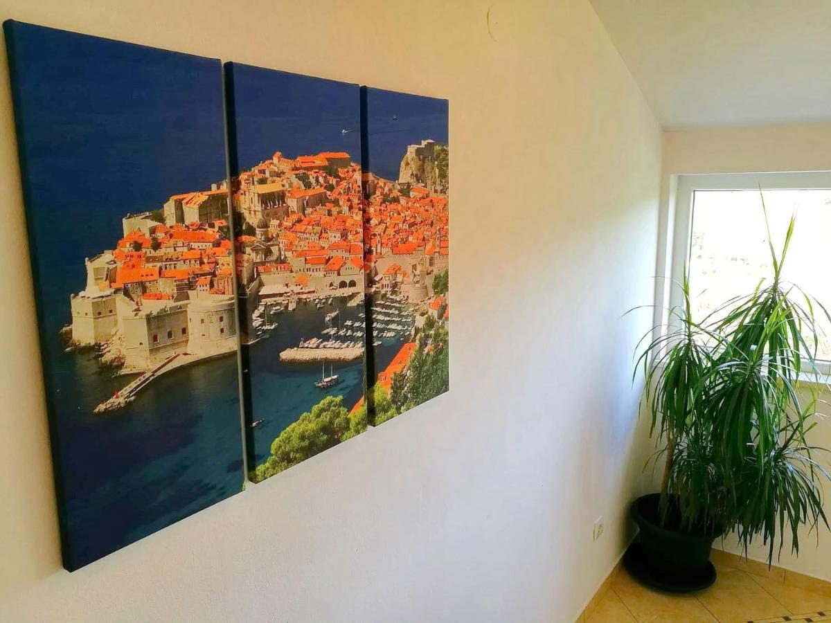 Apartments Kola Banići 外观 照片