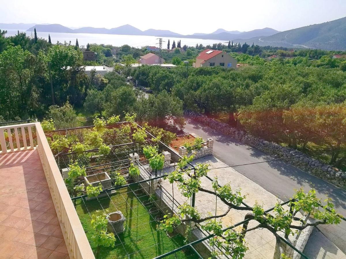 Apartments Kola Banići 外观 照片